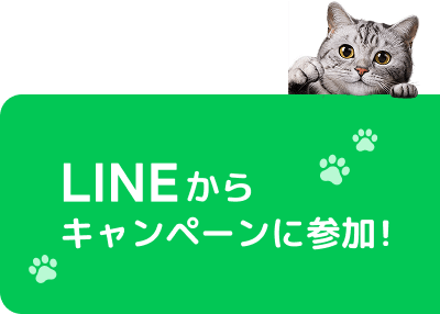 LINEからキャンペーンに参加！