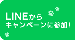 LINEからキャンペーンに参加！