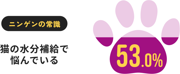 ニンゲンの常識 猫の水分補給で悩んでいる 53.0%