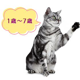 1歳〜7歳
