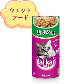 ウエットフード