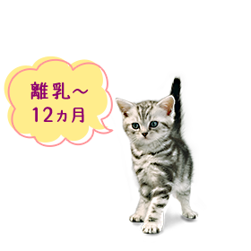離乳〜12ヵ月