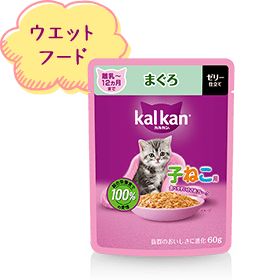 ウエットフード