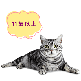 8歳以上