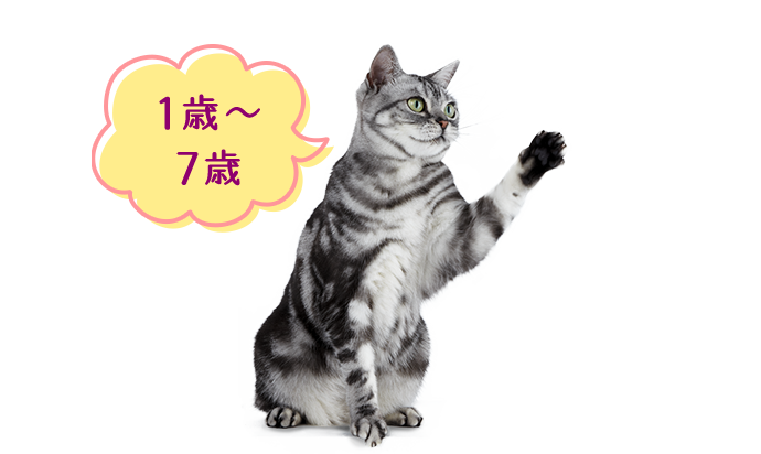 1歳〜7歳