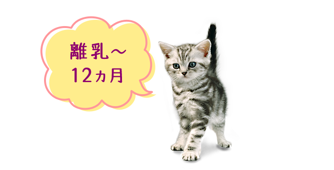 離乳〜12ヵ月