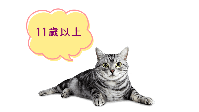 8歳以上