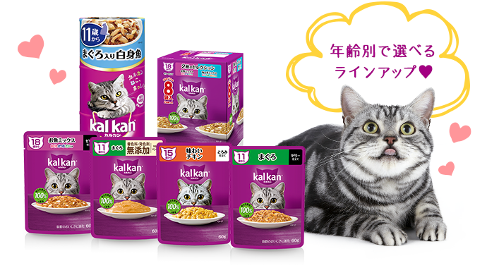 シニア猫用フード