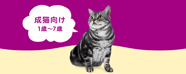 成猫向け 1歳?7歳
