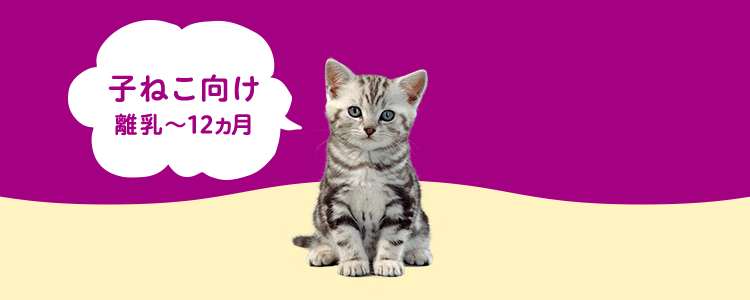子ねこ向け 離乳～12ヵ月