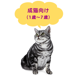成猫向け(1歳～7歳)