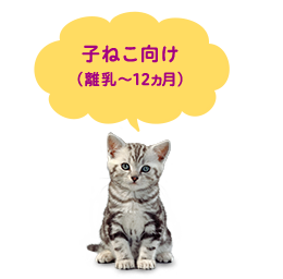 子ねこ向け(離乳～12ヵ月)