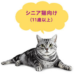 シニア猫向け(8歳以上)